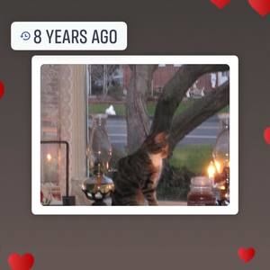 Meet your Posher, Bonnie